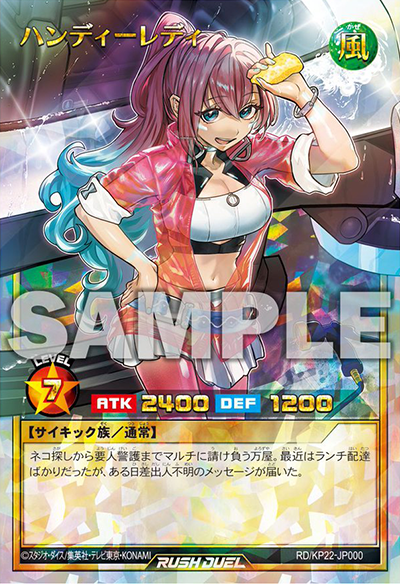 ハンディーレディ ハンディーレディ