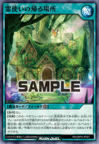 霊使いの帰る場所